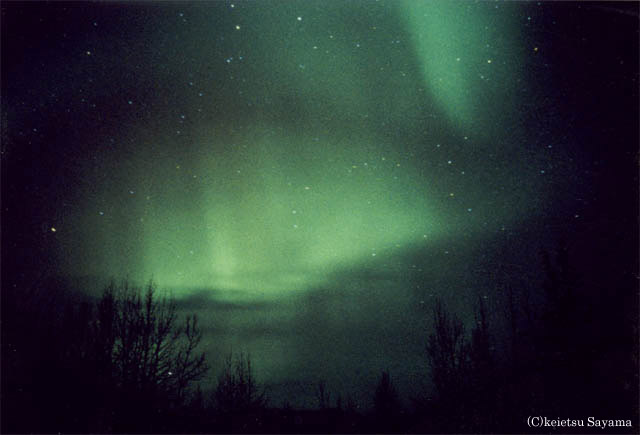 The aurora which comes into trees