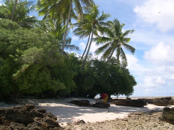 エアウリピク環礁の風景