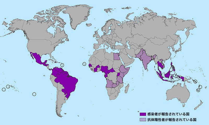 ジカ熱の流行地域